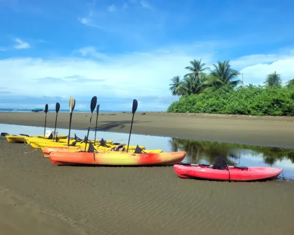 Sea kayaking tour in Uvita, Costa Rica