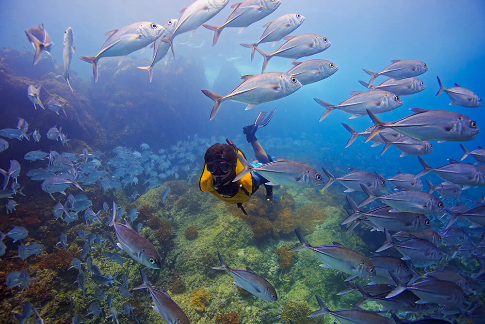 Snorkeling at Cano Island Biological Reserve