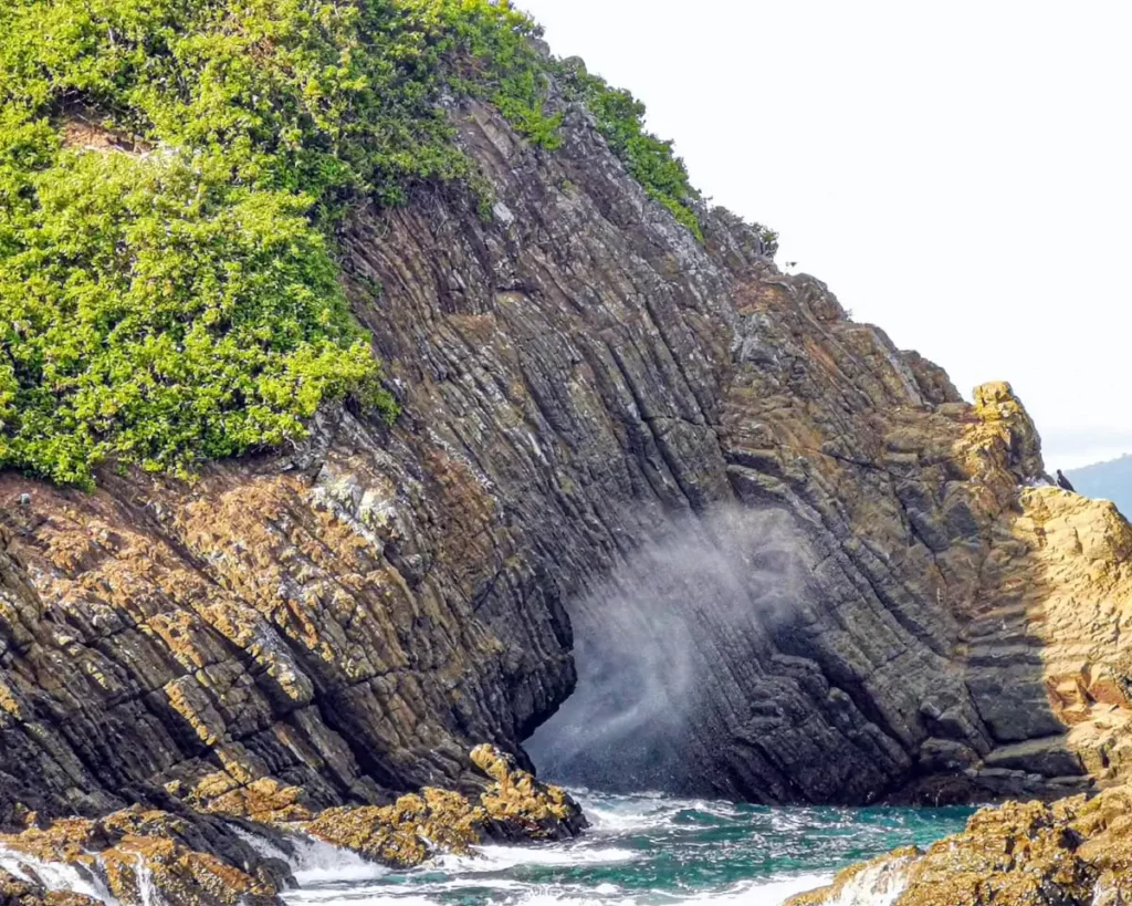 Whale rock Ballena Marine National Park